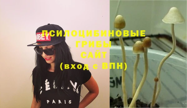 трава Абинск