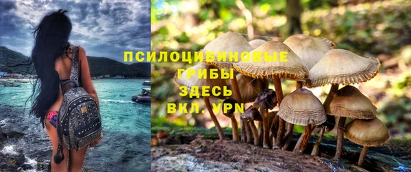 соль ск Переславль-Залесский