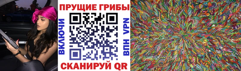 Галлюциногенные грибы Psilocybine cubensis  Никольское 